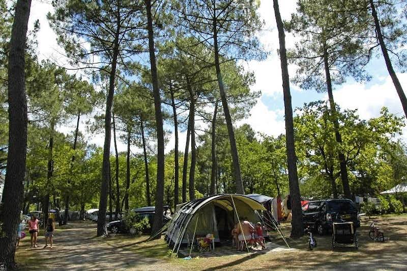 Camping Les Ourmes  -  Wohnwagen- und Zeltstellplatz vom Campingplatz zwischen Bäumen