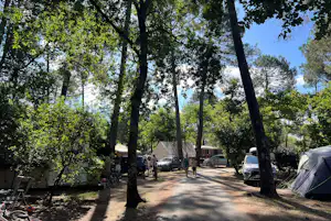 Camping Les Ourmes - Standplätze auf dem Campingplatz