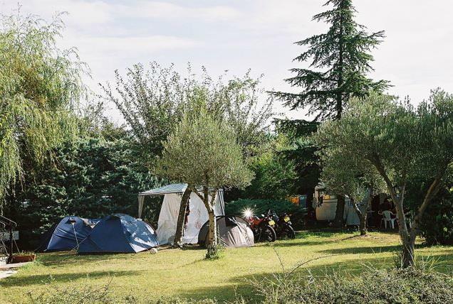 Campingzelte auf einem Rasenplatz im Garten, umgeben von Bäumen und Sträuchern, mit Fahrrad und Sitzbereich im Hintergrund.