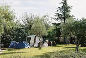 Campingzelte auf einem Rasenplatz im Garten, umgeben von Bäumen und Sträuchern, mit Fahrrad und Sitzbereich im Hintergrund.