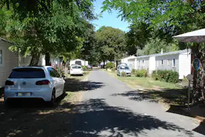 Campingplatz-Allee mit Autos am Straßenrand, weißen Mobilheimen und Bäumen entlang des Weges.