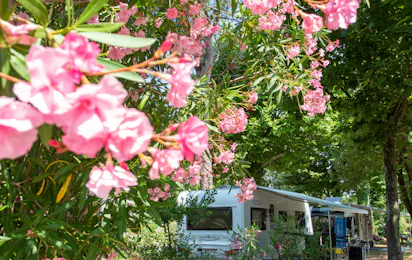 Camping Les Pêcheurs (Roquebrune-sur-Argens)