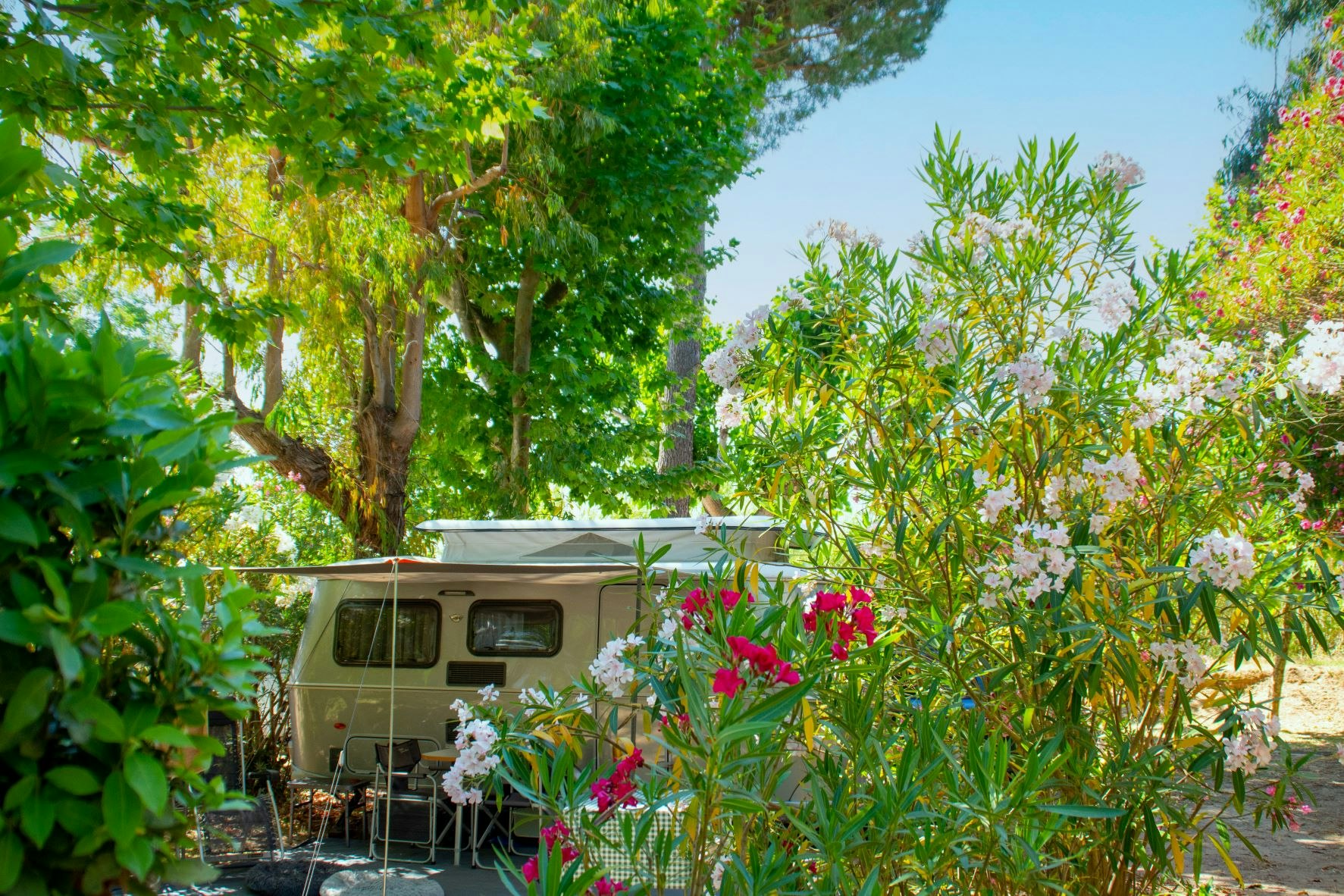 Wohnmobil im Campinggarten mit Markise, umgeben von Bäumen und bunten Blumen.