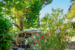 Wohnmobil im Campinggarten mit Markise, umgeben von Bäumen und bunten Blumen.