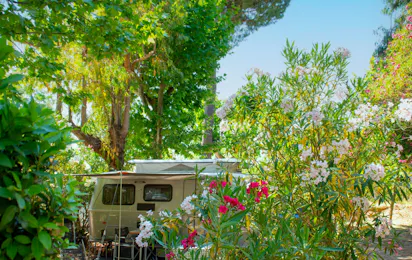 Camping Les Pêcheurs (Roquebrune-sur-Argens)