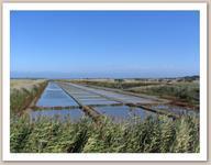 Camping Les Pérouses du Phare