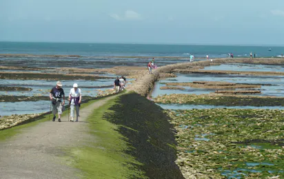 Camping Les Pérouses du Phare