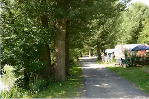 Campingweg zwischen großen Bäumen, rechts Wohnwagen mit Vorzelt und Gartenmöbeln, im Hintergrund weitere Stellplätze.