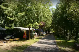 Campingweg mit Bäumen, Zelt und Sitzbereich am Stellplatz, daneben Auto und Sonnenschirm.