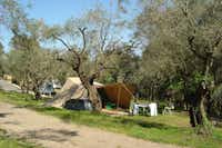 Camping Les Philippons - Zeltplatz zwischen den Bäumen