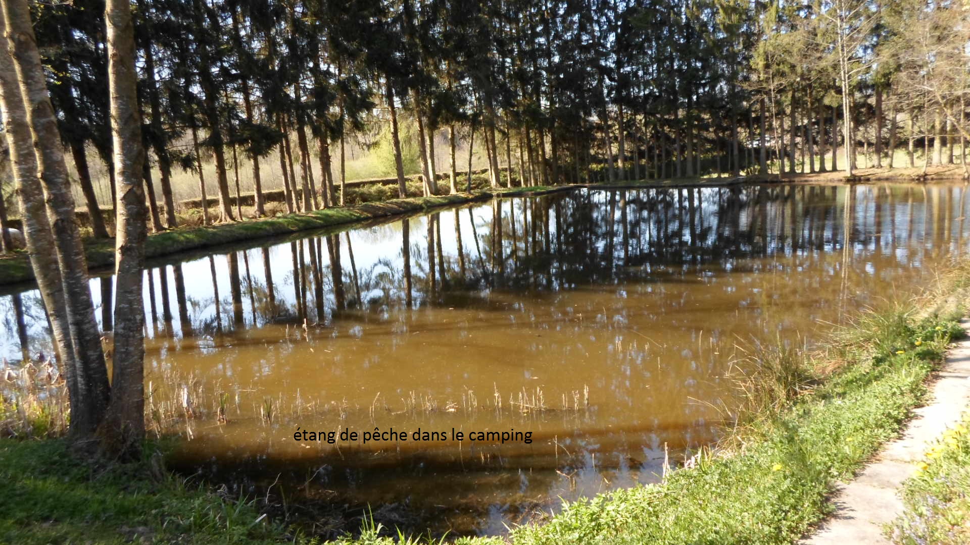 Camping Les Pinasses