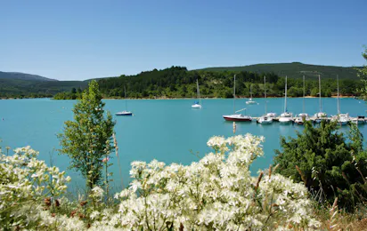 Camping Les Pins (Les Salles-sur-Verdon)