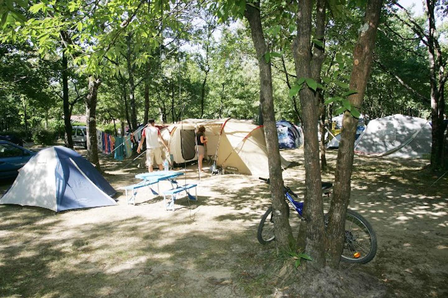 Camping Les Pins du Soleil - Campingbereich für Zeltplatz unter Bäumen