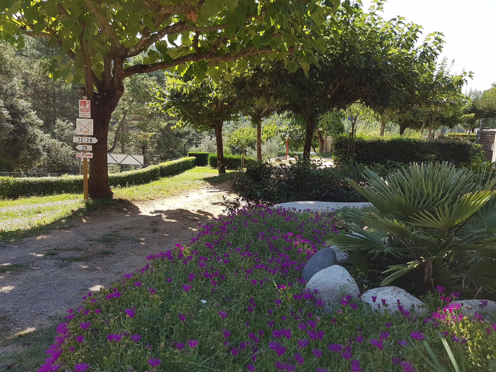 Camping Les Pins d'Ucel