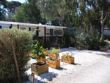 Camping Les Pins Maritimes