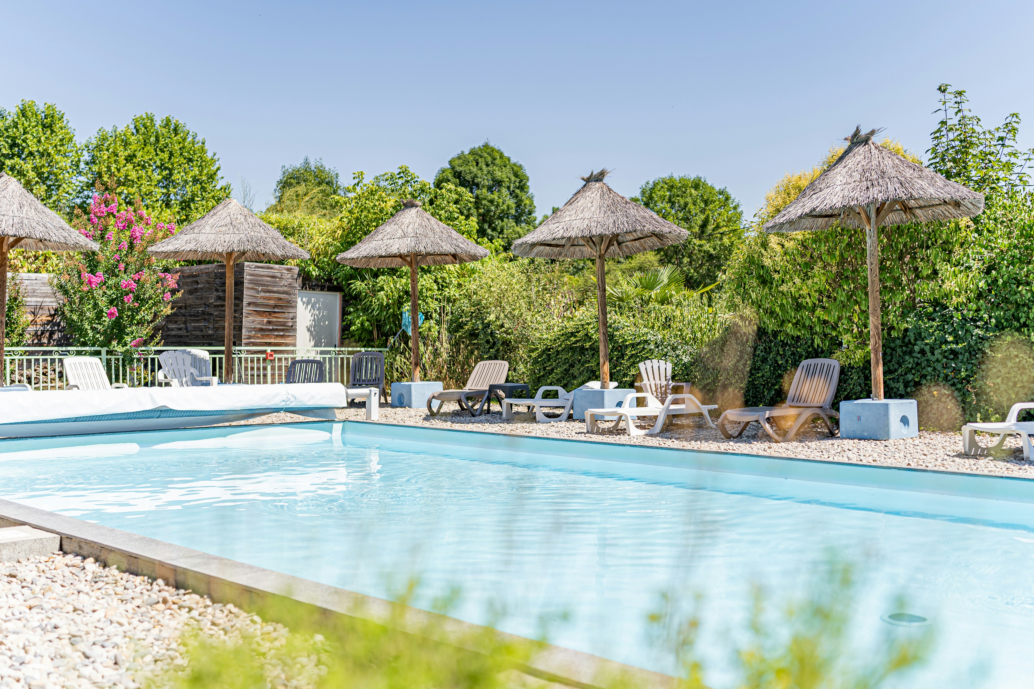 Schwimmbecken am Campingplatz mit Liegestühlen und Sonnenschirmen, im Hintergrund Hecken und mehrere Strohdächer.