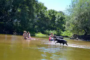 Camping Les Plages de Loire - Camper mit Hund im Fluss am Campingplatz