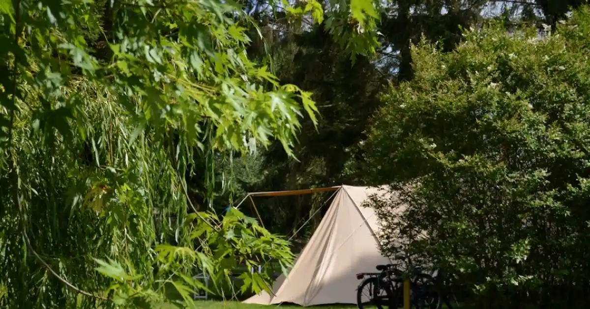 Camping Les Pommiers Pays d'Auge photo 3