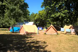 Zelte auf einer Wiese im Campingplatz, umgeben von Bäumen, mit Wäscheleine und weiteren Zelten im Hintergrund.