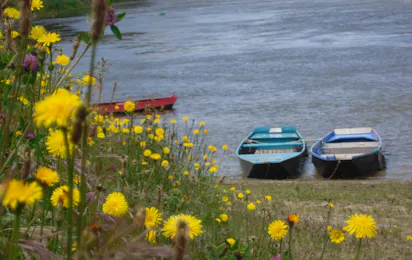 Camping les Portes de la Loire