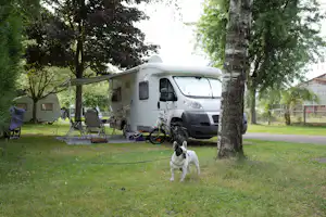 Camping Seasonova Les Portes de l'Alsace Camping Les Portes de l'Alsace - Standplatz zwischen Bäumen auf grüner Wiese