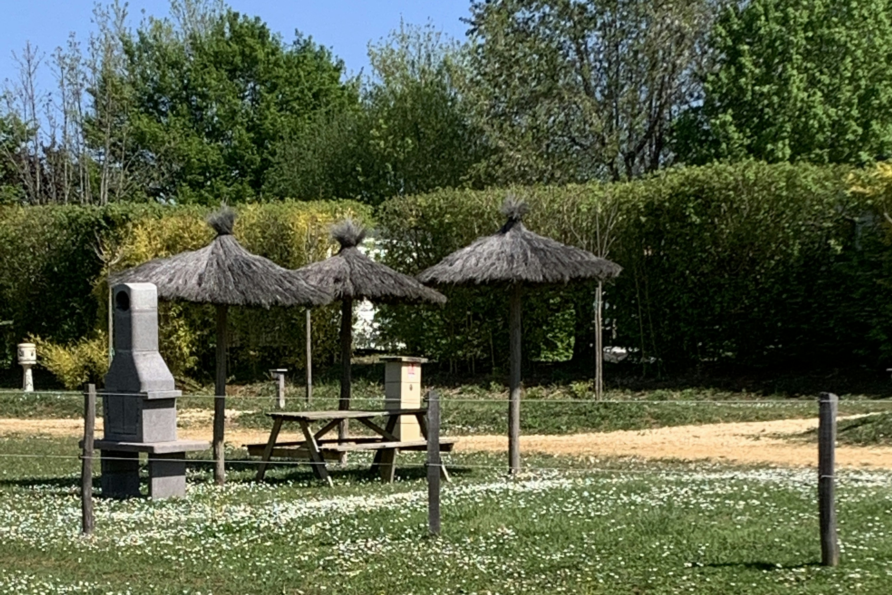 Überdachter Sitzbereich mit Strohdach und Holzbänken auf einem Campingplatz, umgeben von Büschen und Bäumen.