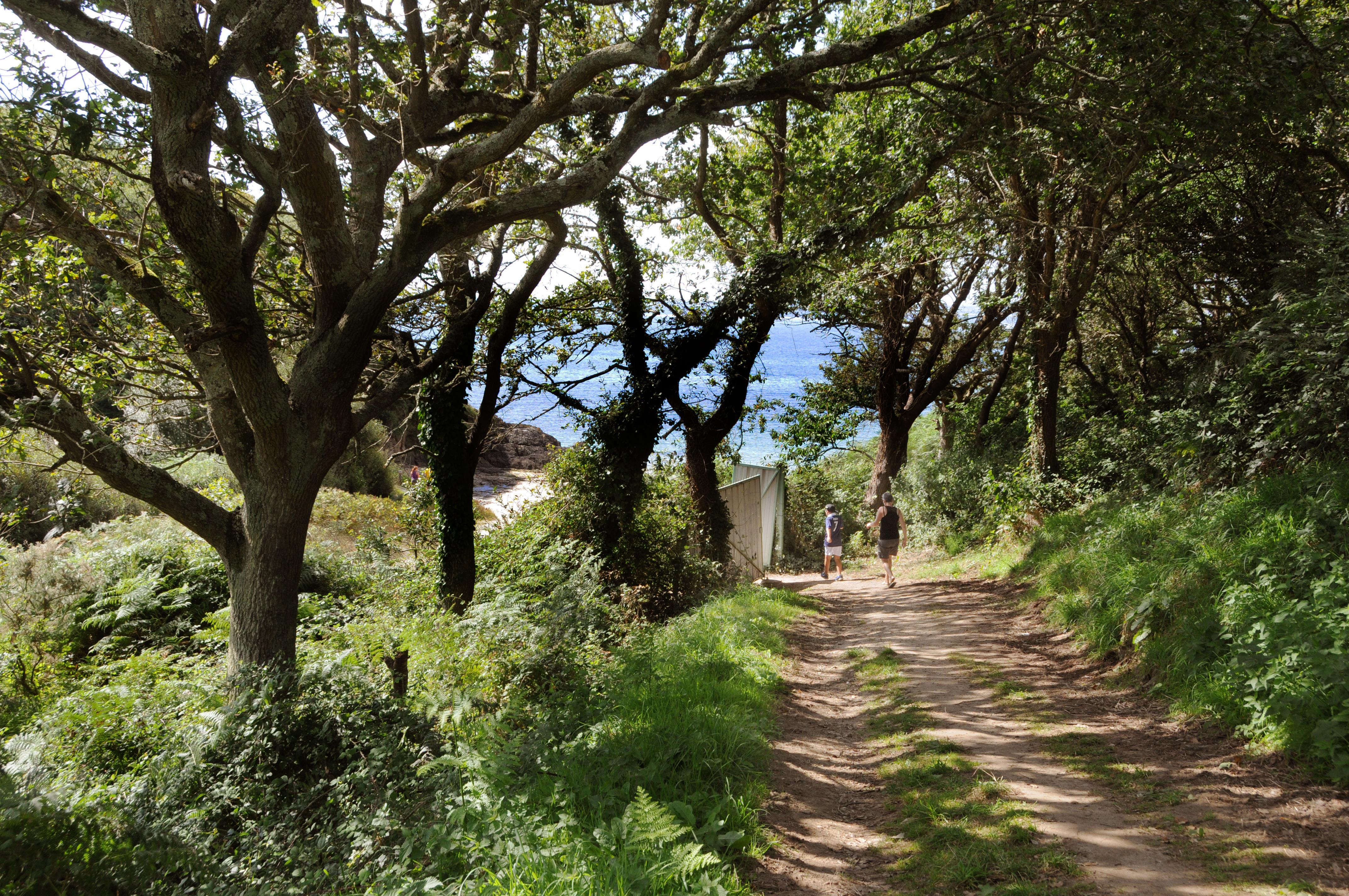 Camping Les Prés Verts Aux 4 Sardines (Concarneau)