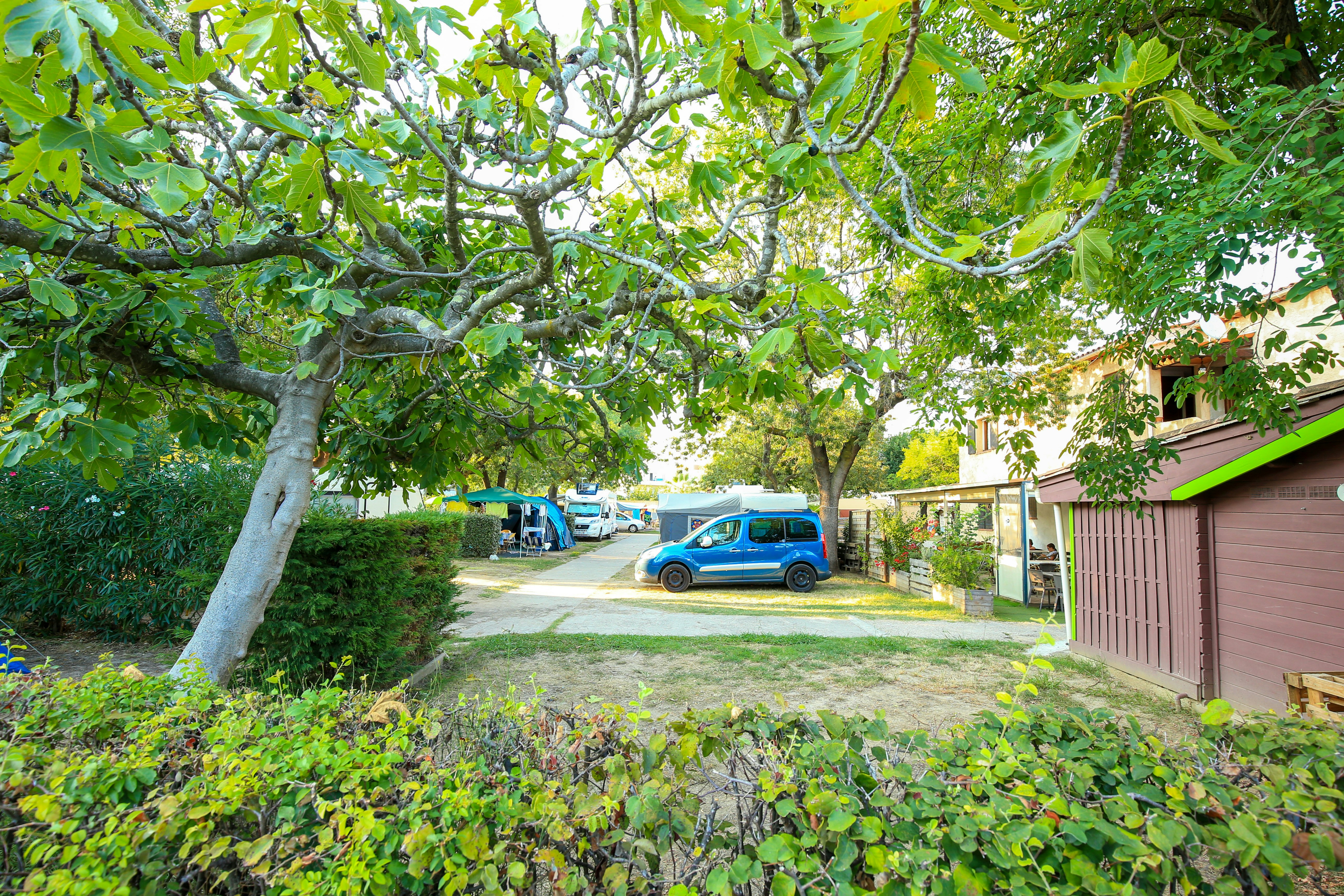Camping Les Pruniers - Standplätze im Grünen auf dem Campingplatz