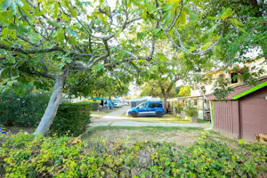 Camping Les Pruniers - Standplätze im Grünen auf dem Campingplatz