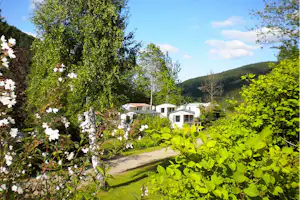 Campingweg zwischen Bäumen mit Rasen, weißen Wohnwagen und kleinen Gebäuden im Hintergrund.