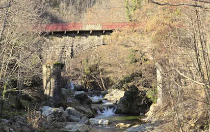 Camping Les Rives de l'Ardèche
