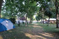 Camping Les Rives du Céou  - Zeltwiese im Schatten der Bäume auf dem Campingplatz