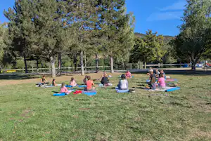 Yoga-Gruppe auf Matten im Grünen auf dem Campingplatz, umgeben von Bäumen und Rasenfläche.