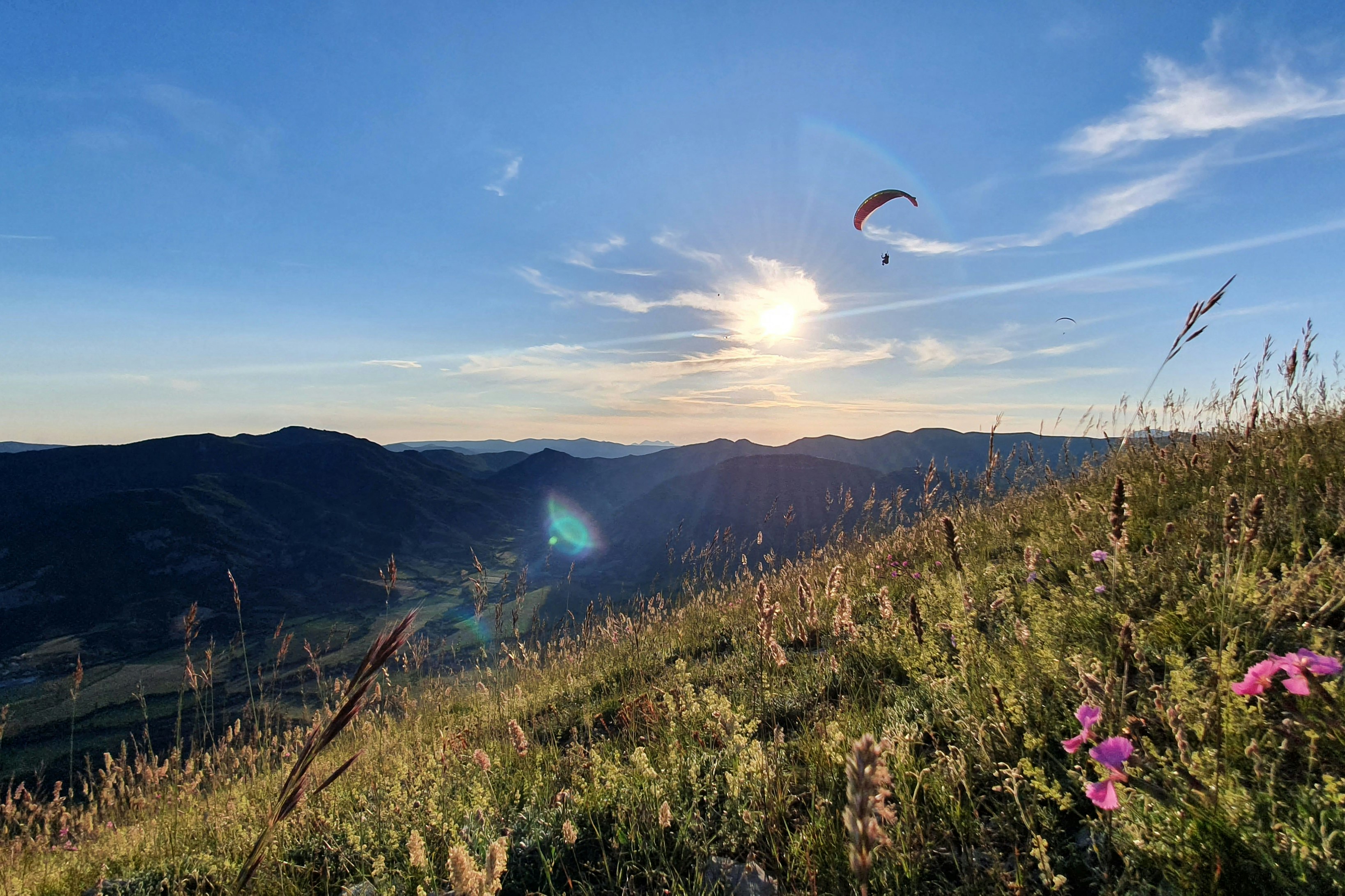 Blick auf eine Berglandschaft mit Wiesenhang, Wildblumen und einem Paraglider am Himmel bei Sonnenuntergang.