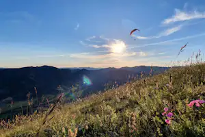 Blick auf eine Berglandschaft mit Wiesenhang, Wildblumen und einem Paraglider am Himmel bei Sonnenuntergang.