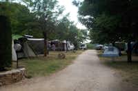 Camping Les Roches  -  Wohnwagen- und Zeltstellplatz zwischen Bäumen auf dem Campingplatz