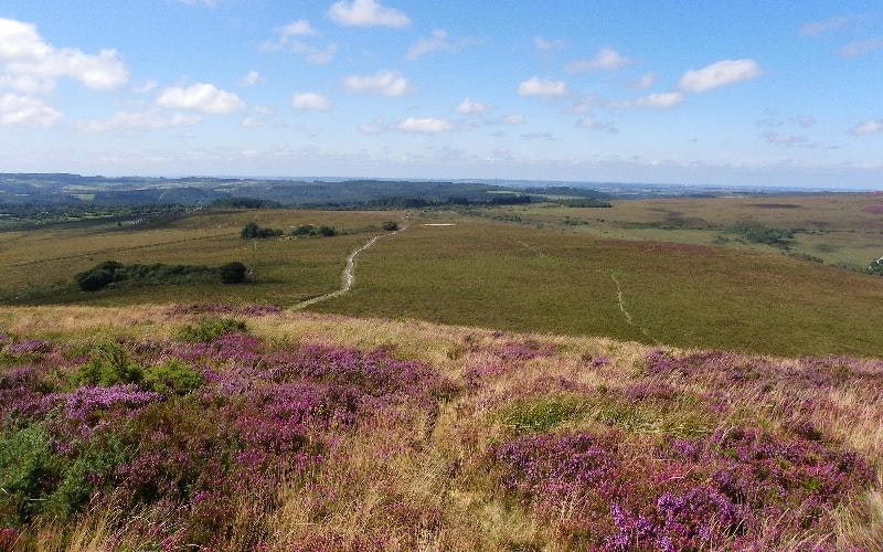 Camping Les Roulottes de Korrigans