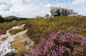 Camping Les Roulottes de Korrigans