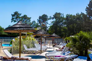 Poolbereich mit blauen Liegen, Sonnenschirmen und mehreren überdachten Sitzplätzen, umgeben von Bäumen und Palmen.