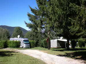 Zwei Wohnmobile auf einem Stellplatz am Campingplatz, mit Kiesweg, Rasen und hohen Nadelbäumen im Hintergrund.