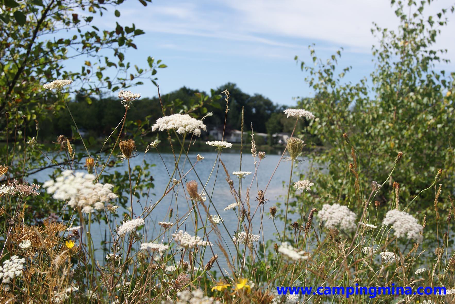Camping Les Étangs Mina