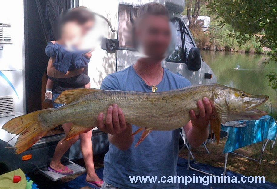 Camping Les Étangs Mina