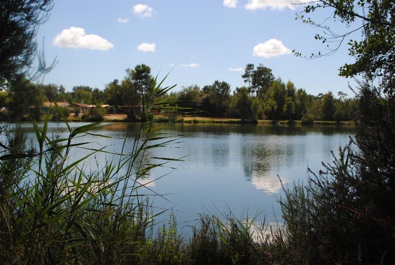 Ruhiger Campingsee mit spiegelndem Wasser, Schilf am Ufer und Bäumen im Hintergrund.