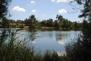 Ruhiger Campingsee mit spiegelndem Wasser, Schilf am Ufer und Bäumen im Hintergrund.