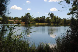 Camping Les Étangs Mina
