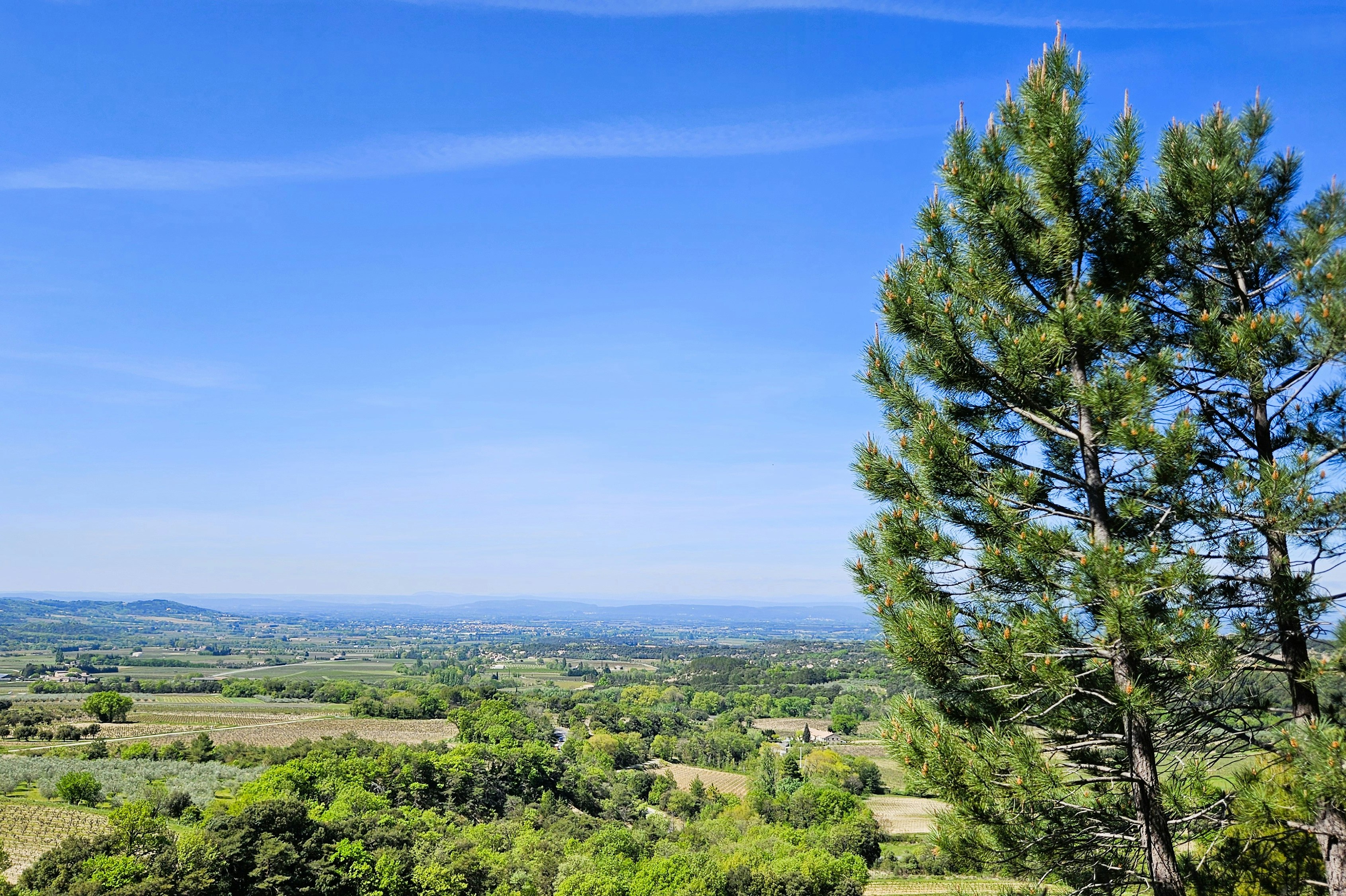 Blick von einem Campingplatz ins weite Tal mit grünen Wiesen und Feldern, im Vordergrund ein hoher Baum vor blauem Himmel.