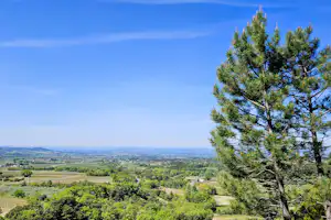 Blick von einem Campingplatz ins weite Tal mit grünen Wiesen und Feldern, im Vordergrund ein hoher Baum vor blauem Himmel.