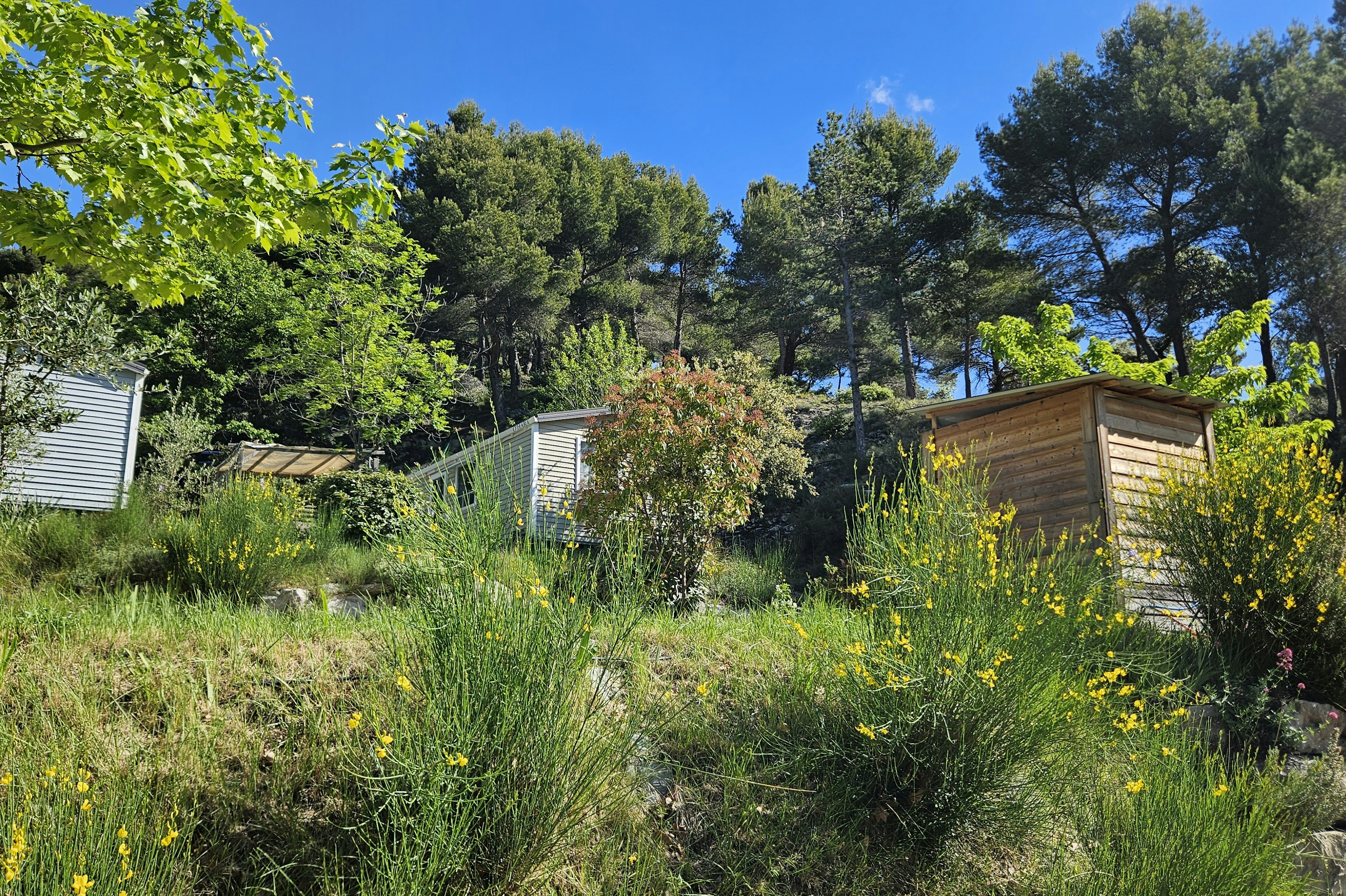 Camping Les Terrasses Provençales