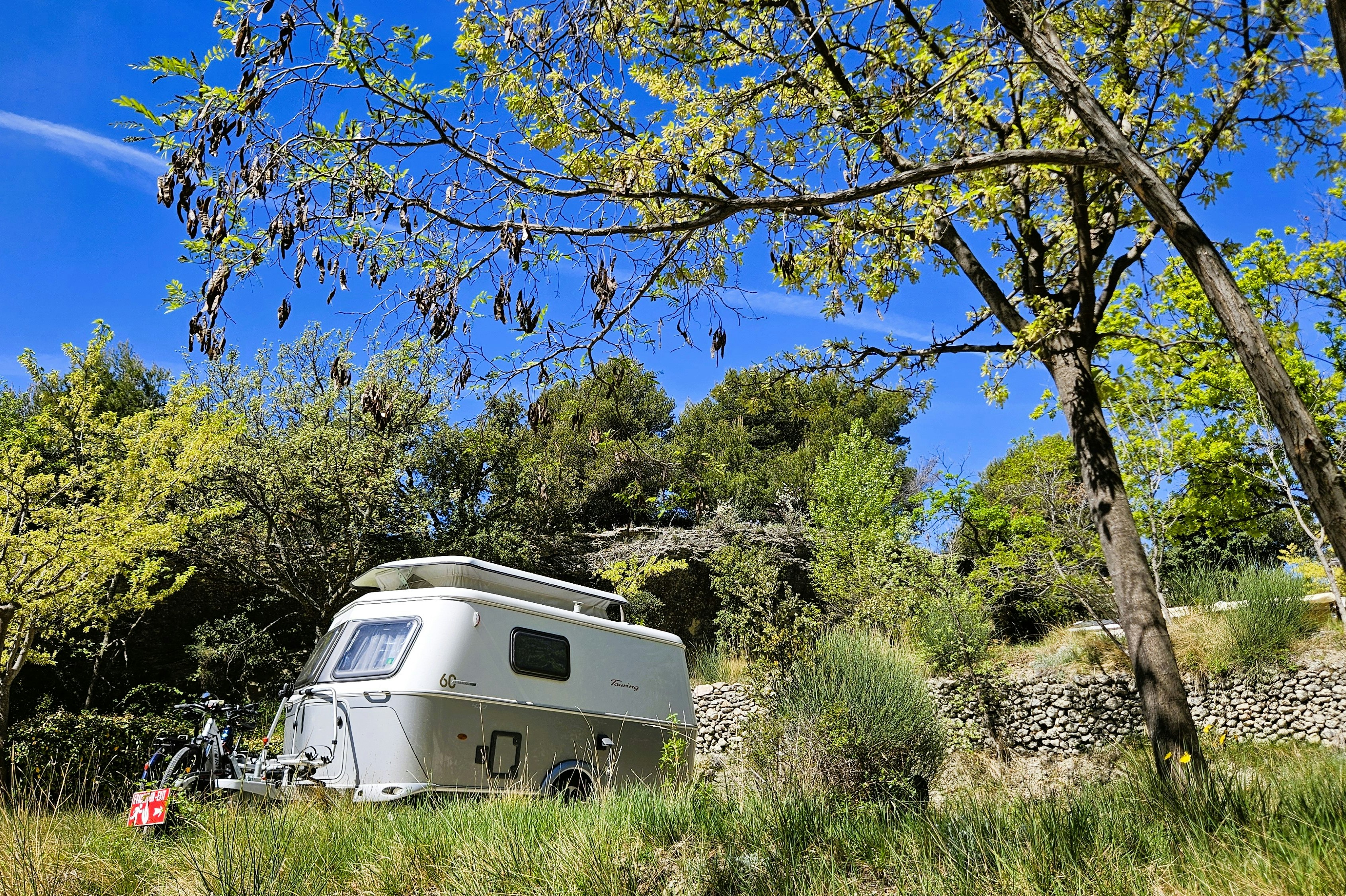 Wohnmobil auf einem Campingplatz am Waldrand, umgeben von Bäumen und Gras, mit blauem Himmel im Hintergrund.