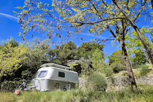 Wohnmobil auf einem Campingplatz am Waldrand, umgeben von Bäumen und Gras, mit blauem Himmel im Hintergrund.